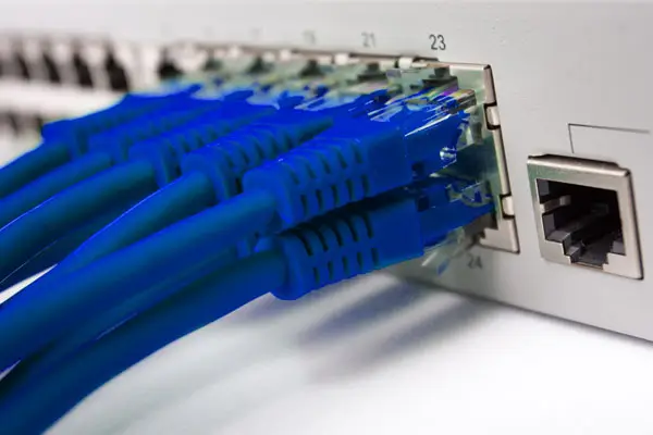 Close-up of blue Ethernet cables plugged into the ports of a network switch. The cables are arranged in a neat row, indicating a well-organized network reinstallation.